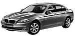 BMW F10 P192A Fault Code